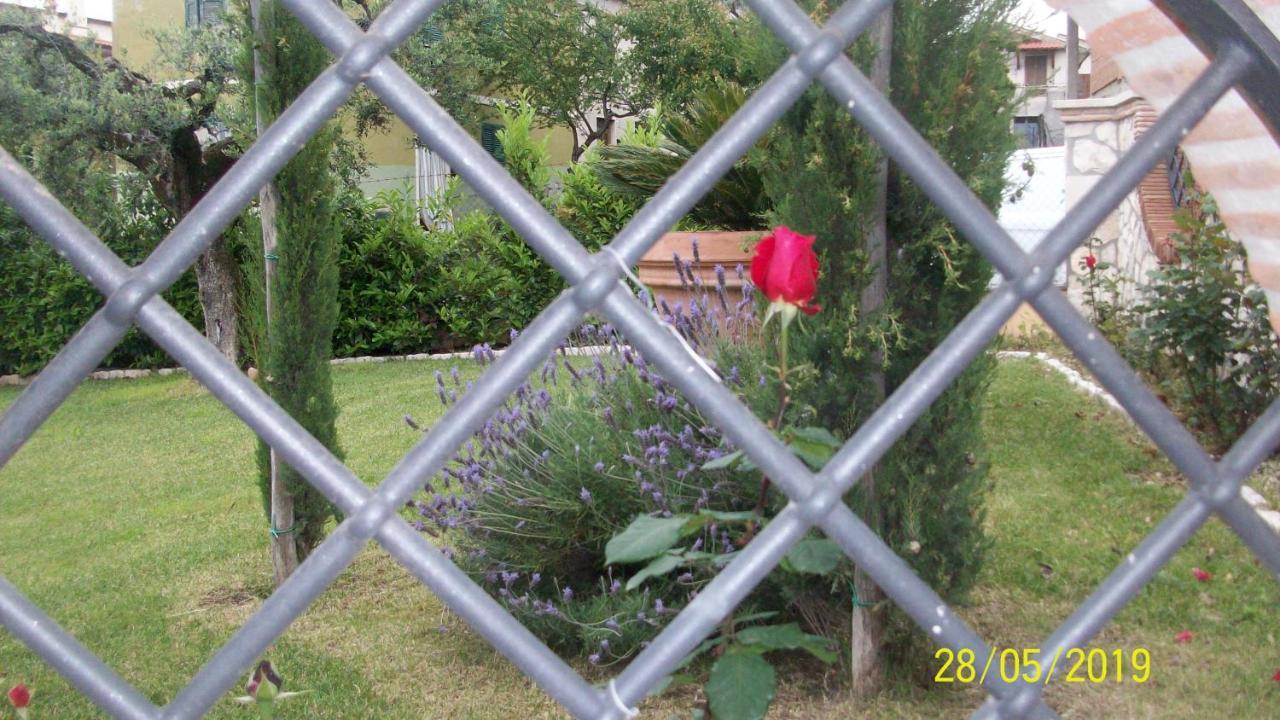 Bed and Breakfast Il Giardino Degli Ulivi Canneto  Exteriér fotografie