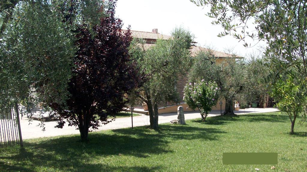 Bed and Breakfast Il Giardino Degli Ulivi Canneto  Exteriér fotografie