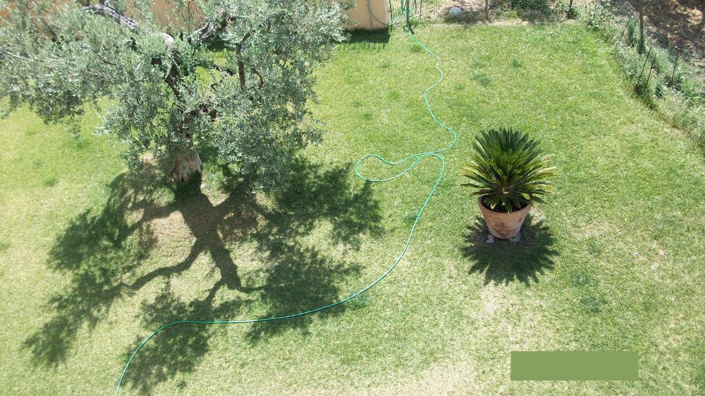 Bed and Breakfast Il Giardino Degli Ulivi Canneto  Exteriér fotografie