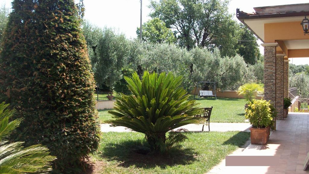 Bed and Breakfast Il Giardino Degli Ulivi Canneto  Exteriér fotografie